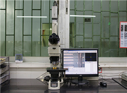 Golden image microscope